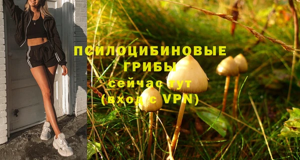 сатива Алексеевка