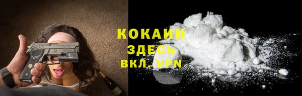 дживик Надым