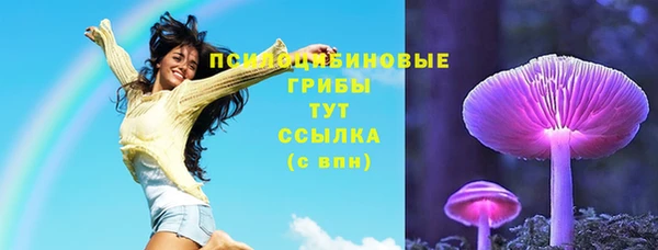 герыч Алексин