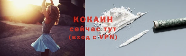 крисы Абаза