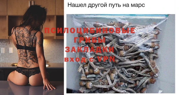 герыч Алексин
