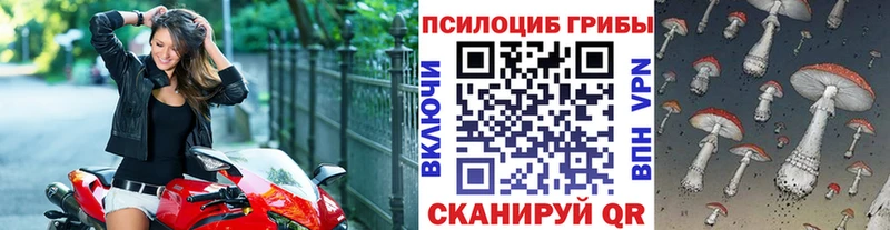 Галлюциногенные грибы мухоморы  где можно купить   Каменск-Уральский 
