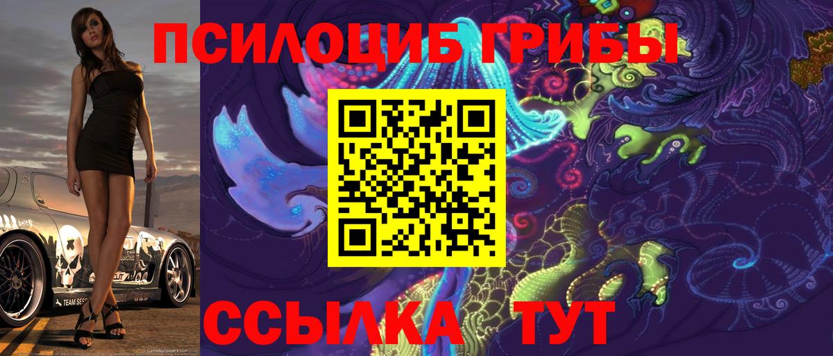 Каменск-Уральский  как найти закладки  Псилоцибиновые грибы мухоморы  Вход с VPN  Псилоцибиновые грибы мухоморы 