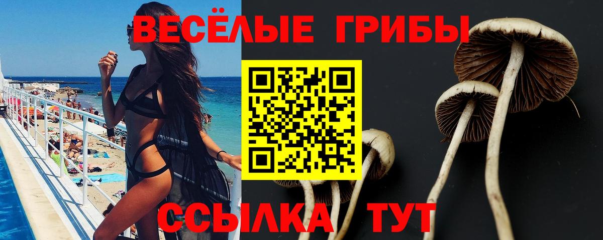 Галлюциногенные грибы Psilocybe  Псилоцибиновые грибы мицелий  Каменск-Уральский 