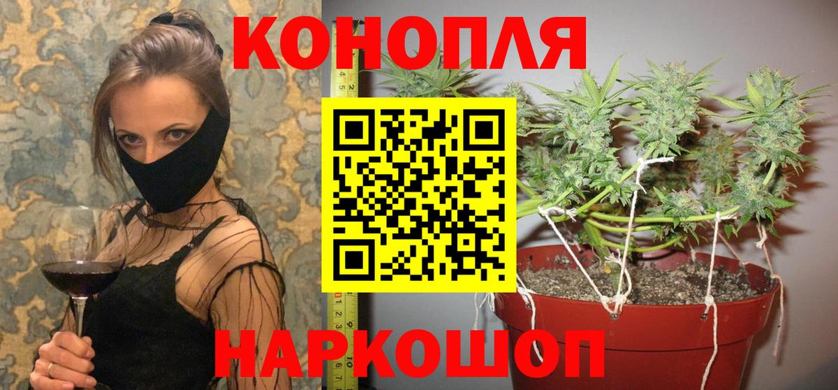 Каменск-Уральский  Конопля MAZAR  Марихуана семена  Вход с VPN  МАРИХУАНА MAZAR 